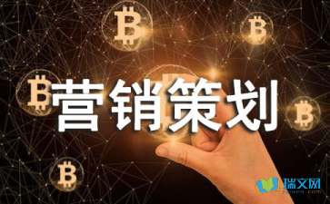 市场营销策划书的标准格式与核心要素