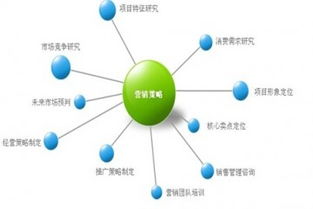 营销策划机构的服务内容与市场营销策划